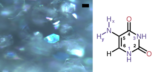 The Crystal